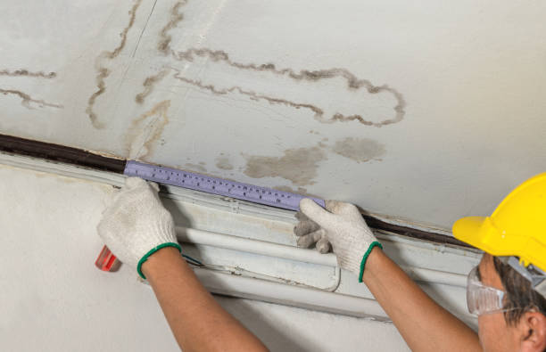 Reliable Burst Pipe Cleanup contractor in Altura, MN by Water Damage Irwin